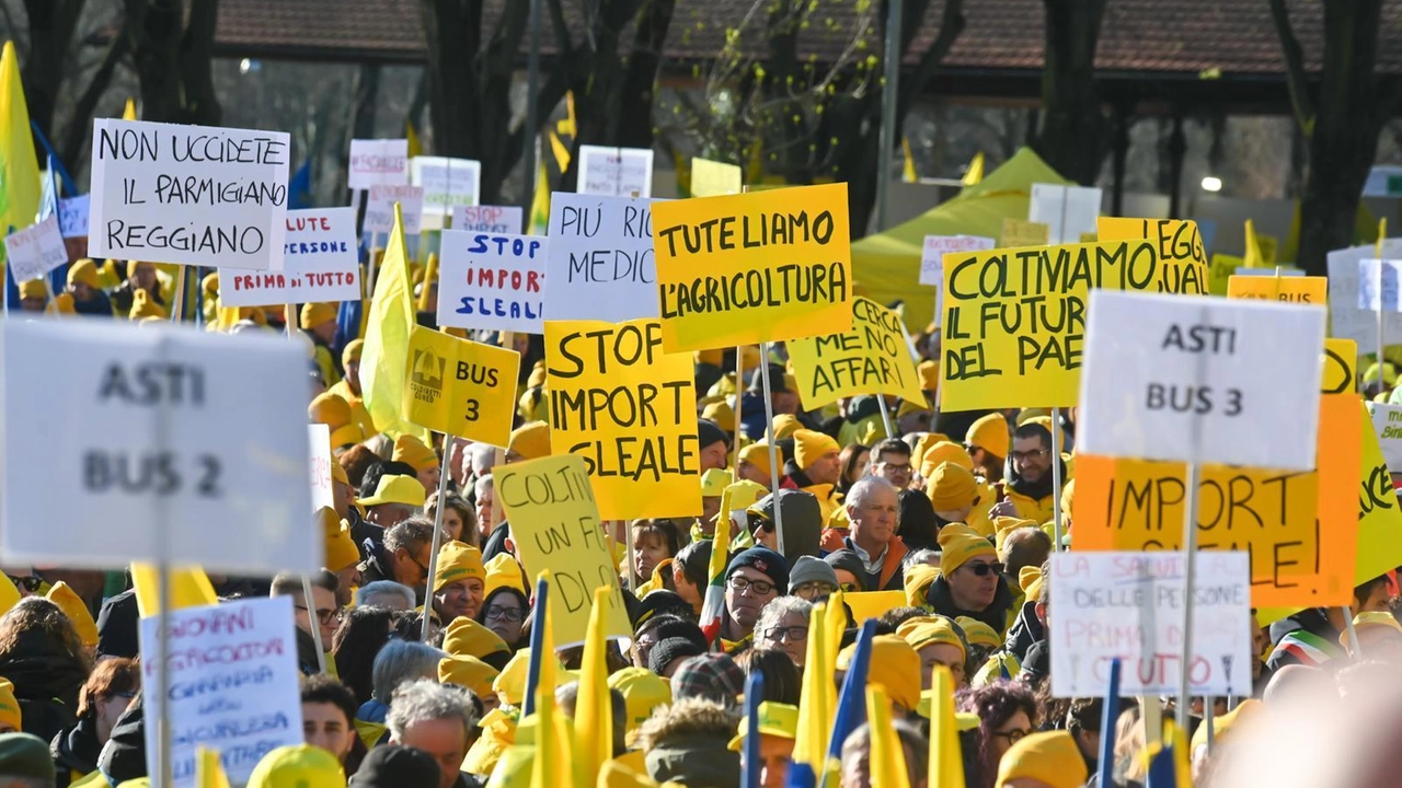 Le aziende rappresentate sono 997