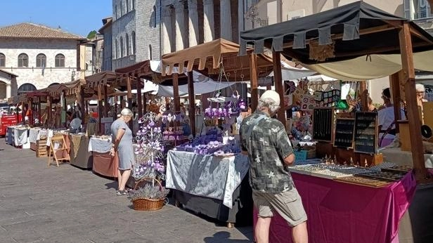 Il mercatino in piazza del Comune Il mercatino in piazza del Comune