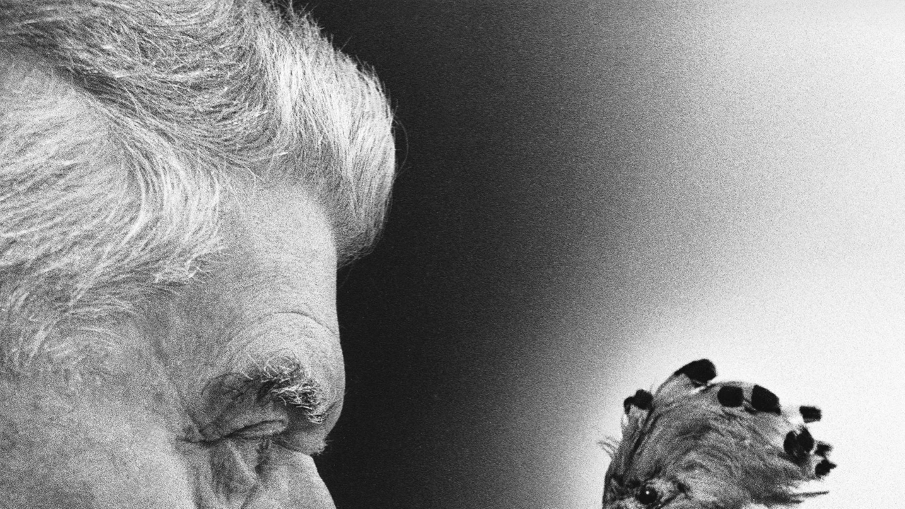 Tra gli eventi da celebrare nel 2025 il centesimo anno dalla pubblicazione di ’Ossi di Seppia’ di Eugenio Montale. Per la... Tra gli eventi da celebrare nel 2025 il centesimo anno dalla pubblicazione di ’Ossi di Seppia’ di Eugenio Montale. Per la...