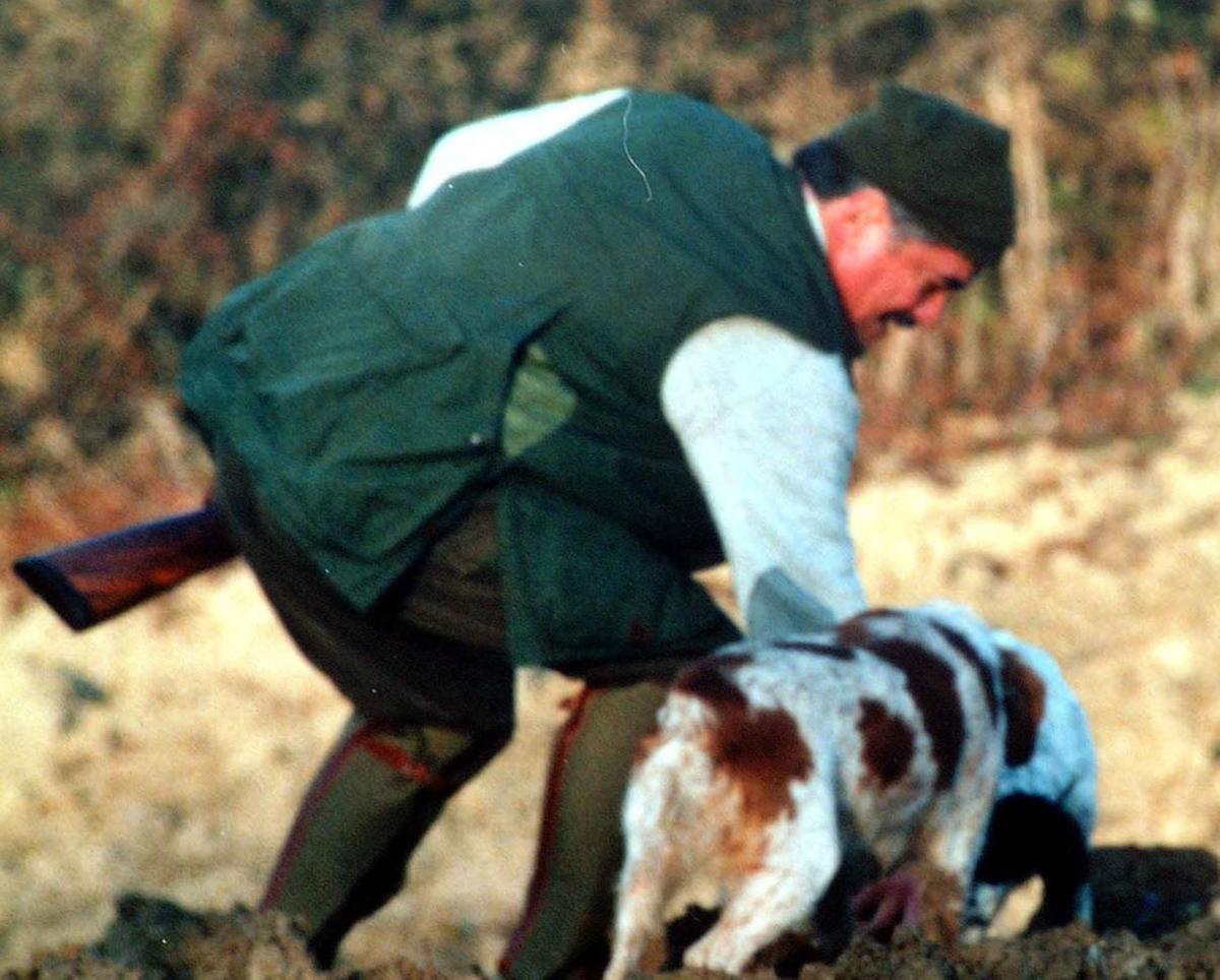 https://www.lanazione.it/image-service/view/acePublic/alias/contentid/ZmUwMGQwMjMtNDlhNS00/0/caccia-in-braccata-ok-della-regione-obiettivo-depopolamento-ungulati.jpeg?f=1.90:1&w=1200