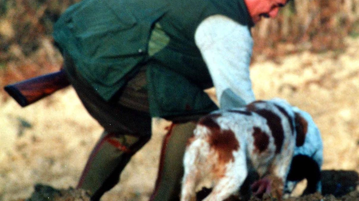 Questa modalità ulteriore di caccia sarà possibile esercitarla da domani fino al 28 febbraio 2026 Questa modalità ulteriore di caccia sarà possibile esercitarla da domani fino al 28 febbraio 2026