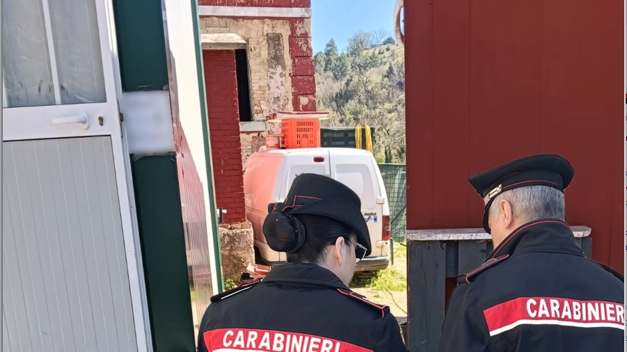 L'intervento di Carabinieri e Nas