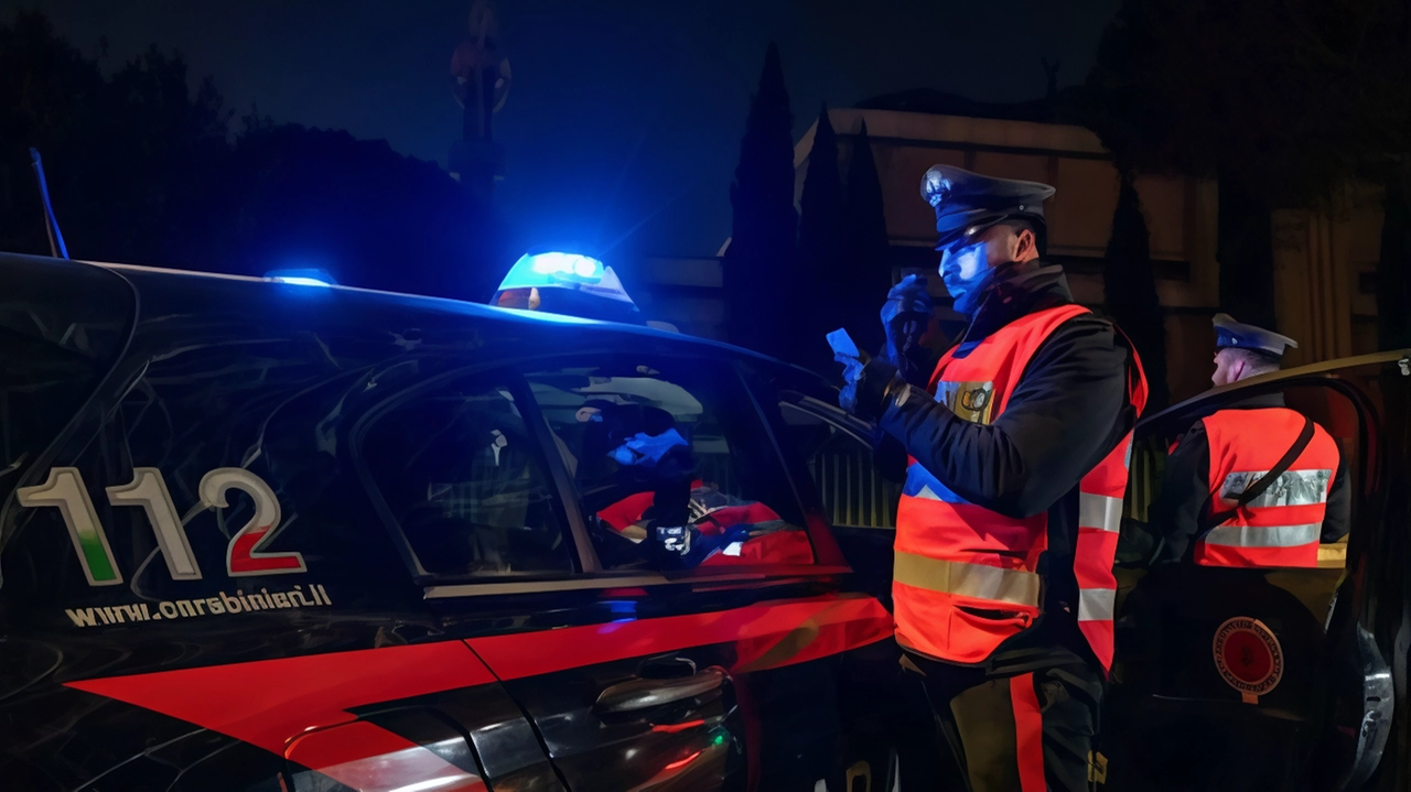 I carabinieri sono riusciti a fermare un uomo entrato per rubare da un veterinario I carabinieri sono riusciti a fermare un uomo entrato per rubare da un veterinario