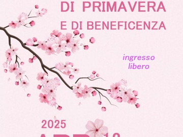 immagine articolo