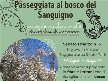 immagine articolo