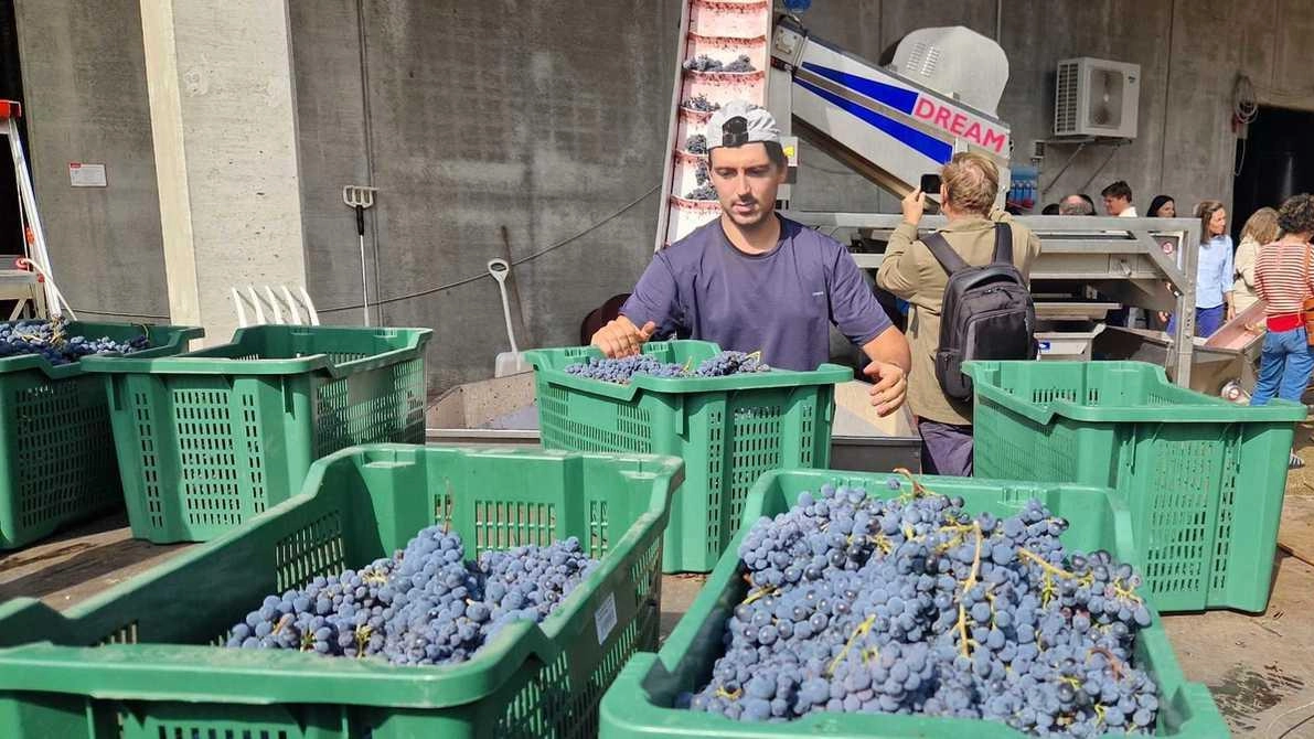 L’esperienza che avvicina il visitatore alla produzione del famosissimo Chianti Classico ’I Rialzi’ "Vigneto speciale, qui si uniscono fattori unici: ricchezza del suolo, l’esposizione al sole e il clima" . L’esperienza che avvicina il visitatore alla produzione del famosissimo Chianti Classico ’I Rialzi’ "Vigneto speciale, qui si uniscono fattori unici: ricchezza del suolo, l’esposizione al sole e il clima" .