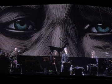 immagine articolo