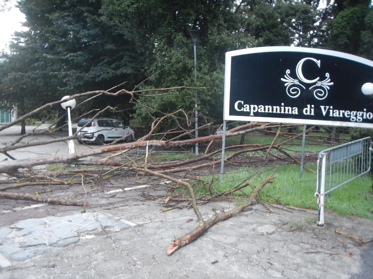 Prevenzione e previsione Prevenzione e previsione