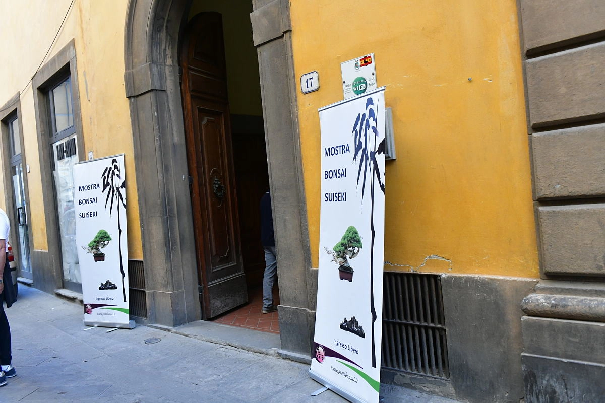 immagine di sfondo 6