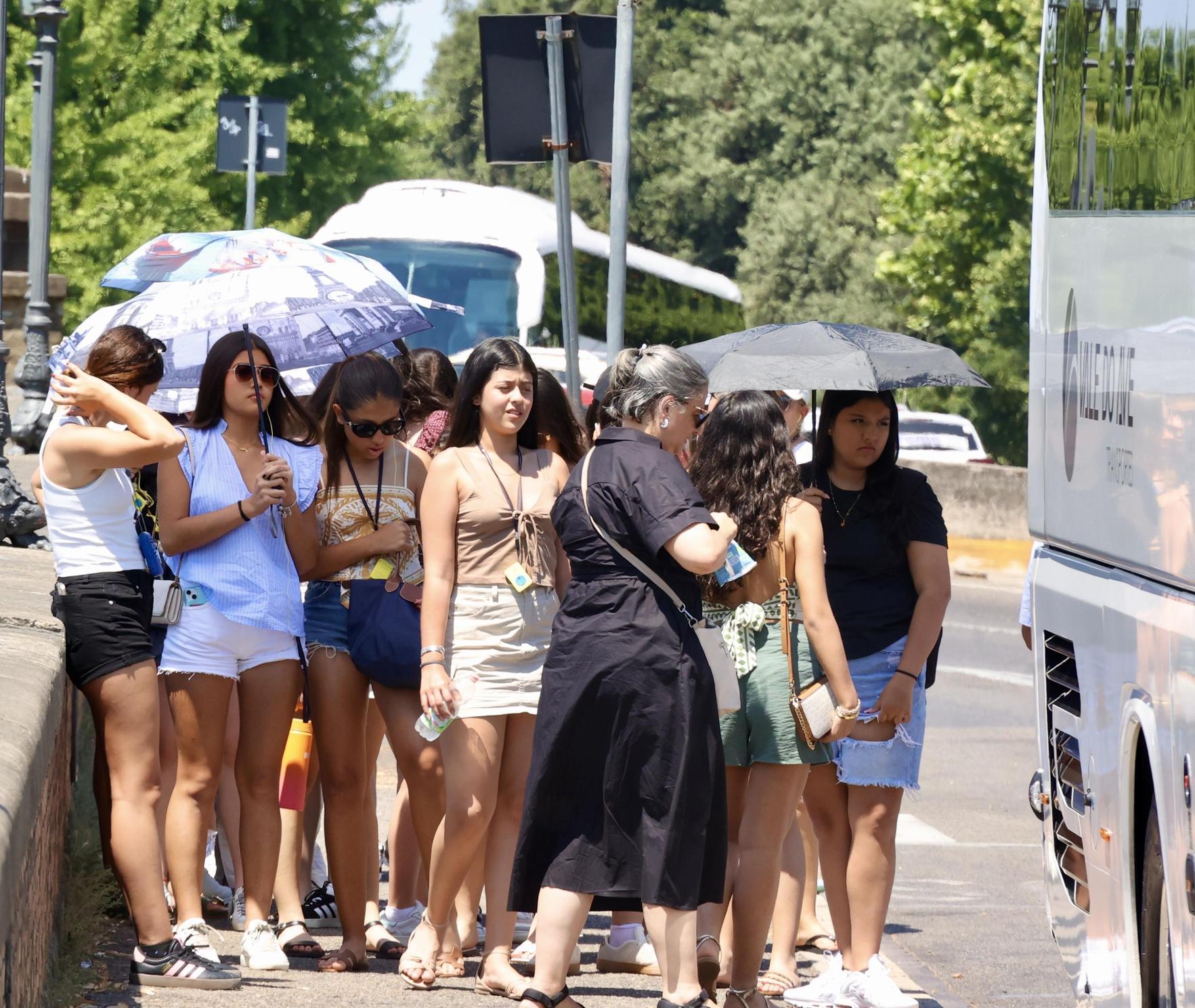 Il debutto dei bus alle Cascine. Ombrellini, vigili e assalto ai wc: "Il tram? Tutti su non ci stiamo. Sulla strada anche un malore" Il debutto dei bus alle Cascine. Ombrellini, vigili e assalto ai wc: "Il tram? Tutti su non ci stiamo. Sulla strada anche un malore"