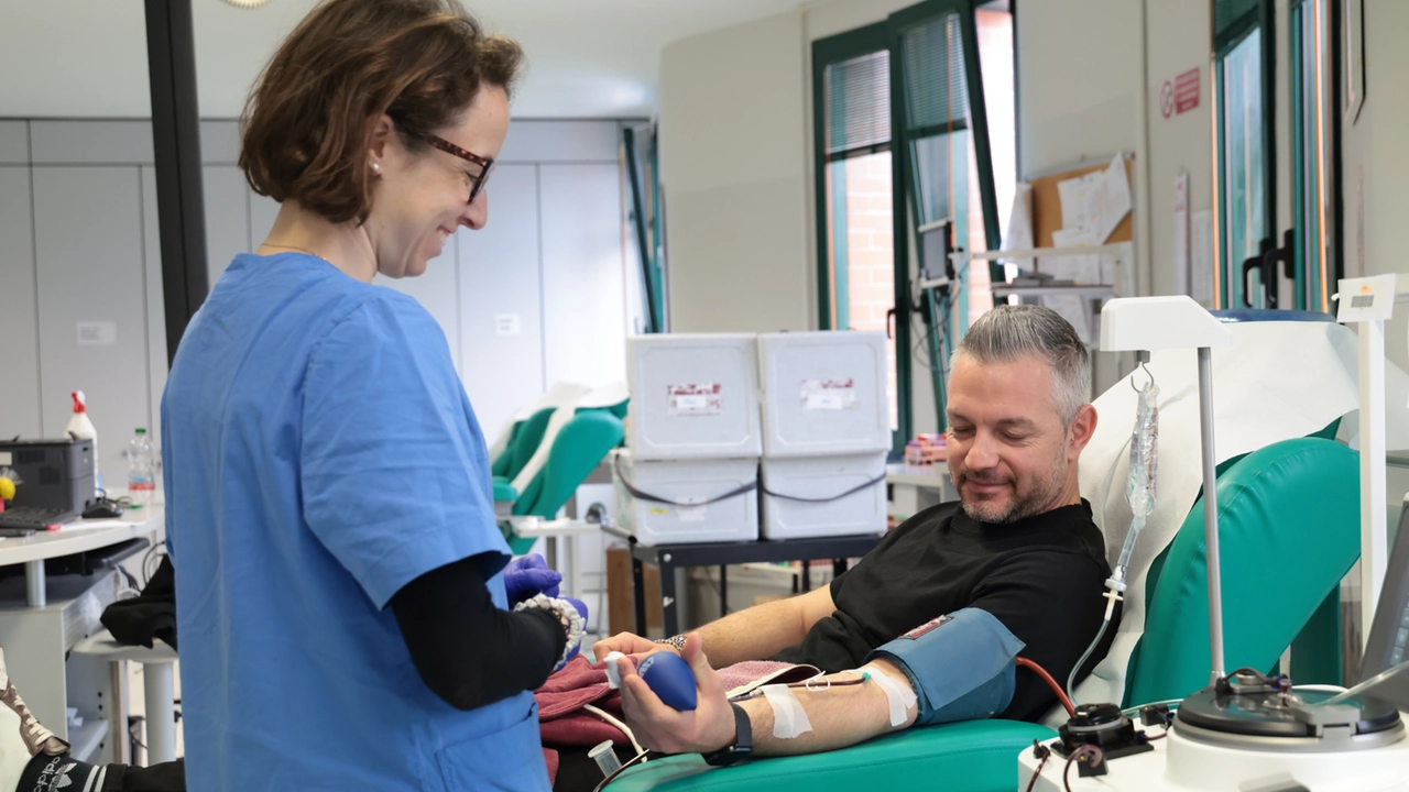 Un donatore di sangue (Foto di repertorio)
