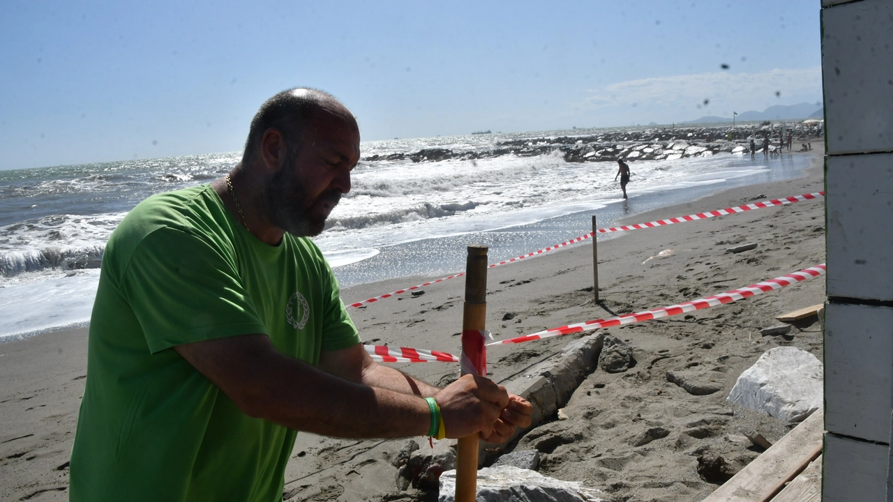 Costa massese, stabilimenti devastati dalla mareggiata. Allarme dei balneari
