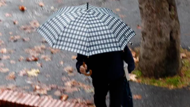 Germogli Ph 23 novembre 2013 Empoli Autunno foglie pioggia ombrello