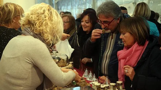 Germogli Ph 16 novembre 2014 San Miniato Mostra Mercato del Tartufo Bianco