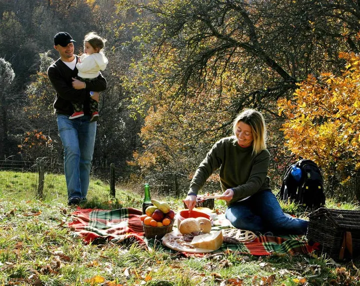 Una famiglia con bambini durante il pic-nic in un parco