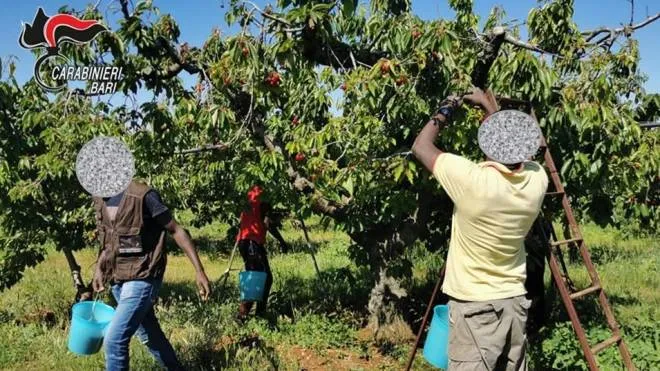 Lavoratori impegnati nei campi: da oggi anche a Grosseto potranno contare sul supporto e il sostegno del progetto Sipla