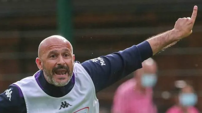 Vincenzo Italiano, allenatore della Fiorentina