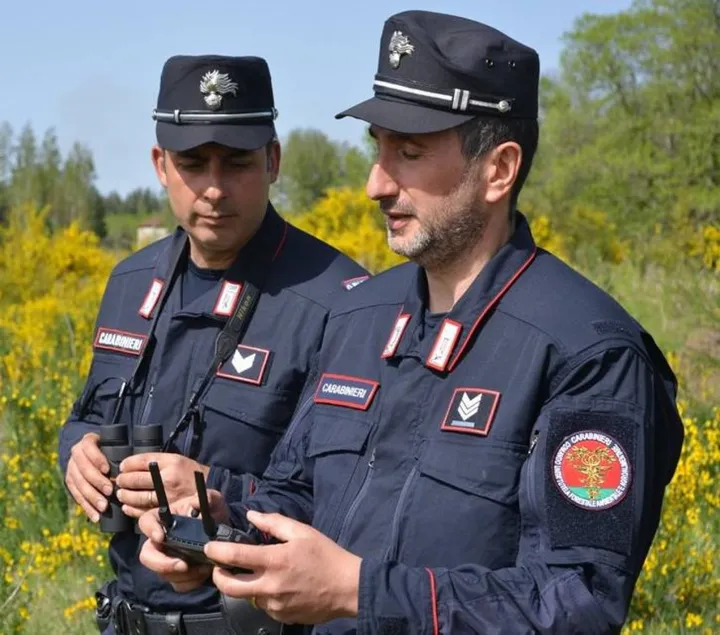 I carabinieri forestali devono vigilare perché il fenomeno non degeneri