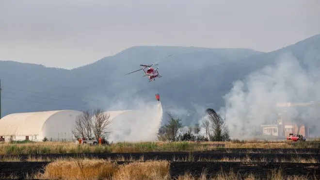 Incendio san iacopo pisa gagno campo di grano a fuoco vigili del fuoco  pisa - (foto di: ENRICO MATTIA DEL PUNTA)