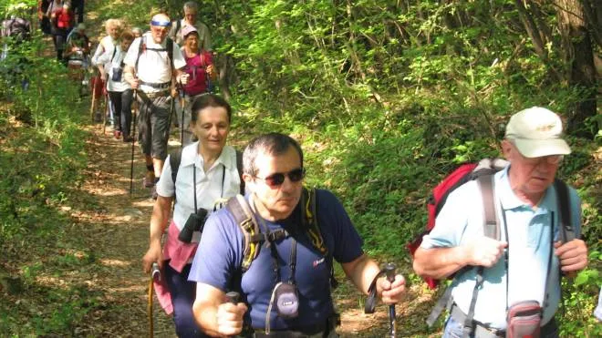 Con la rinnovata rete dei sentieri gli escursionisti potranno gustare a pieno il Chianti fiorentino