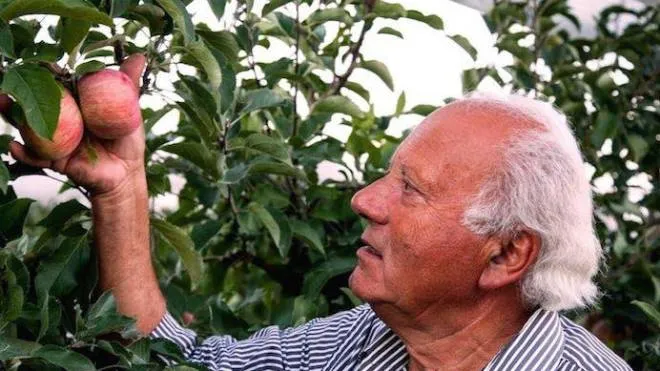 Virgilio Peruzzi è uno degli imprenditori agricoli della Valdichiana specializzato in produzione di mele