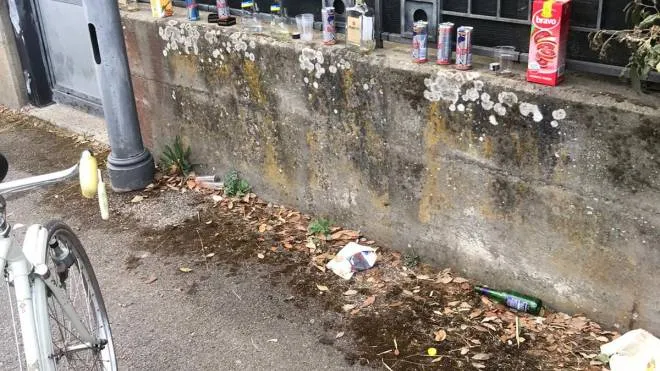La distesa di bottiglie, bicchieri e lattine lungo le strade interne di Focette