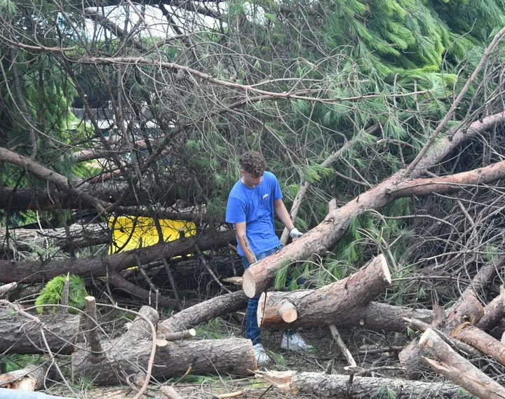 Al lavoro nel parco della Caravella a Marina di Carrara per rimuovere gli alberi abbattuti dalla tempesta di giovedì