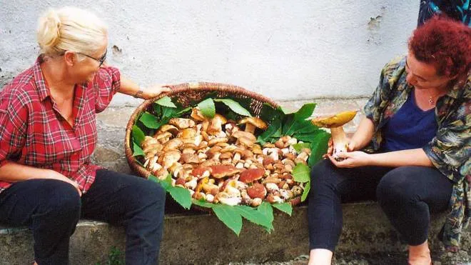 Funghi porcini, la stagione perfetta per le ricette tradizionali