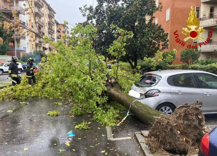 L’albero caduto su un’auto in via Vivaldi è stato rimosso dai vigili del fuoco. A sinistra i danni provocati dal vento al Mercato europeo in piazza Duomo (Foto Attalmi)