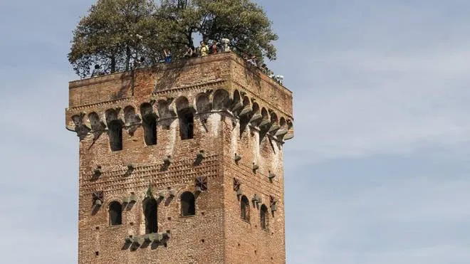 La Torre Guinigi, monumento simbolo della città di Lucca