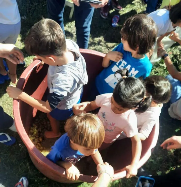 I bambini intenti nella pigiatura dell’uva come si faceva nei tempi antichi