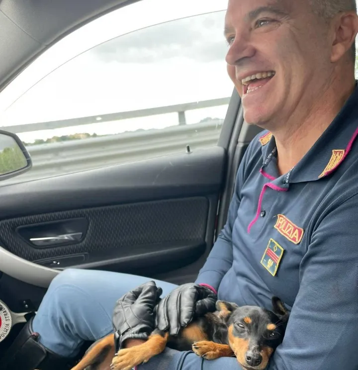 L’agente della stradale con in braccio il cagnolino salvato sulla FiPiLi