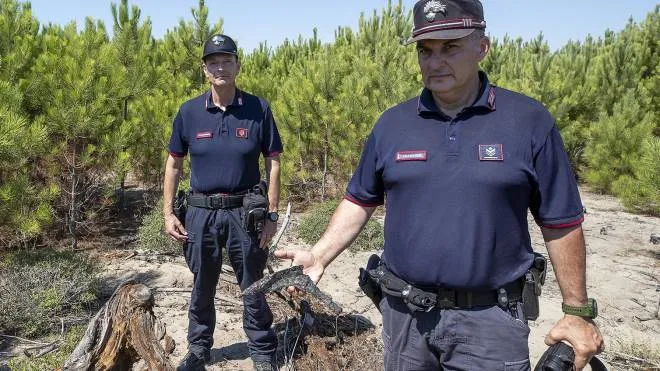 I carabinieri forestali hanno individuato e segnalato il proprietario dell’auto