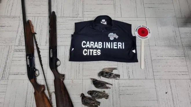 Quanto sequestrato dai carabinieri