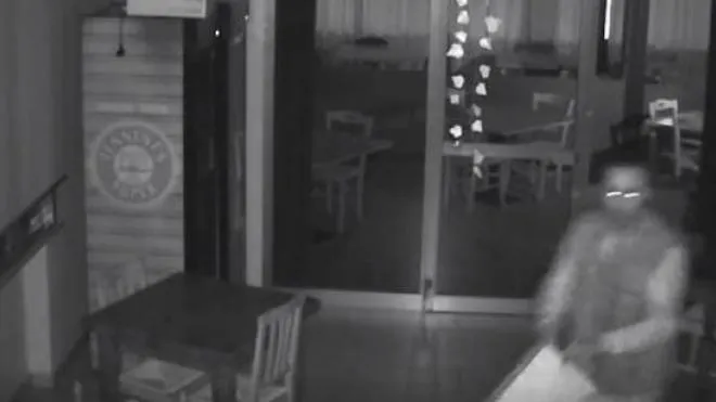 Il ladro ripreso dalle telecamere interne del bar Cerri’s a Santa Croce
