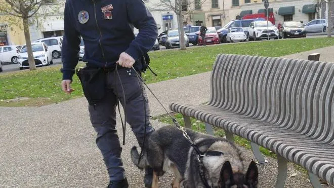 Un poliziotto con un cane antidroga controlla piazza Ciardi (foto Attalmi)