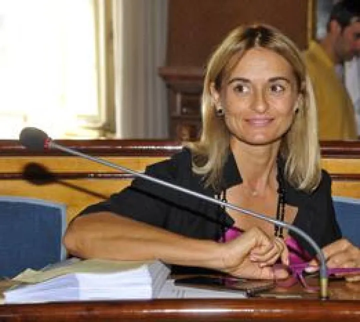 Erika Borghesi, consigliere del Pd