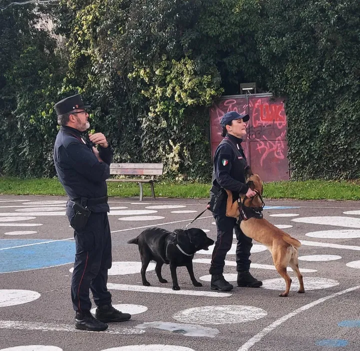 Incontri a scuola anche con i cani antidroga dei carabinieri