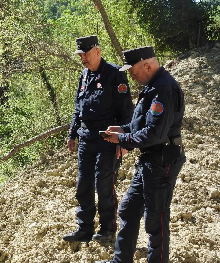 I carabinieri forestali hanno svolto oltre 1000 interventi e proceduto a 3 sequestri penali (foto d’archivio)