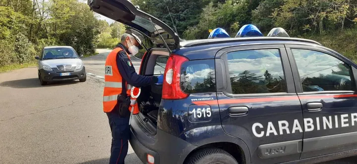 I controlli sono stati eseguiti dai carabinieri forestali, insieme al nucleo investigativo di polizia ambientale e alla. Asl Toscana centro