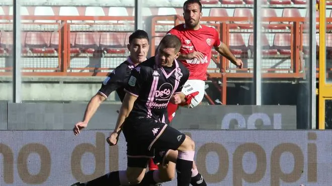 L’attaccante Marco Olivieri, due gol in campionato. (Foto Crocchioni)