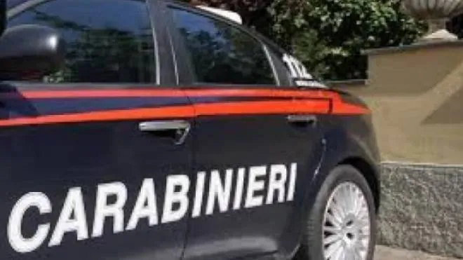 Carabinieri (Foto di archivio)