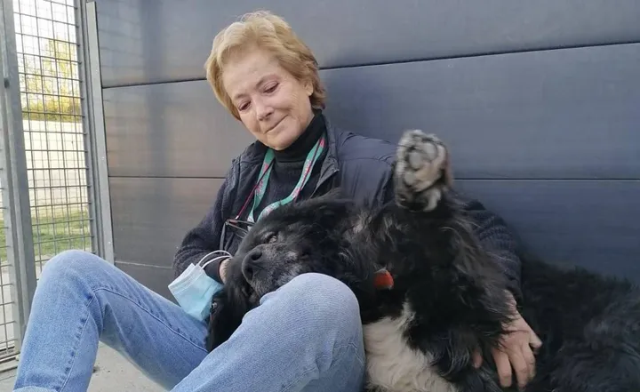 La presidente Enpa Valdarno Luigina Campedelli con un cane