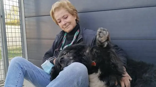 La presidente Enpa Valdarno Luigina Campedelli con un cane