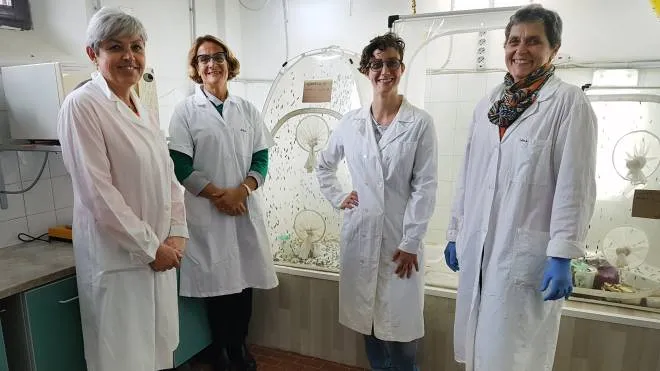 Le ricercatrici dell’Università di Pisa impegnate nel progetto Feeds