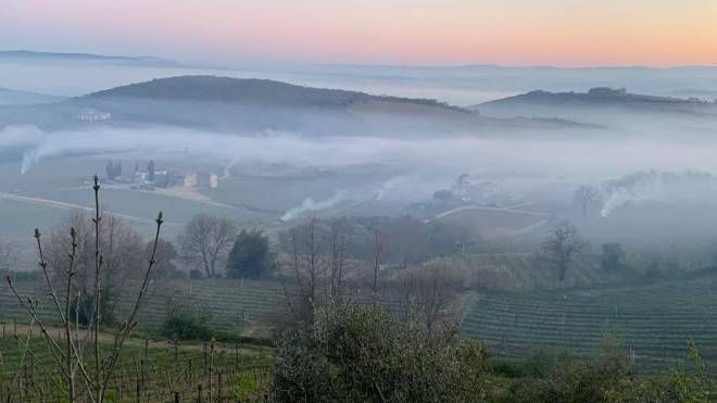 Notte di gelo nel Senese, i produttori di Brunello bruciano paglia per scaldare le vigne(Foto da Facebook Consorzio del vino  Brunello di Montalcino)