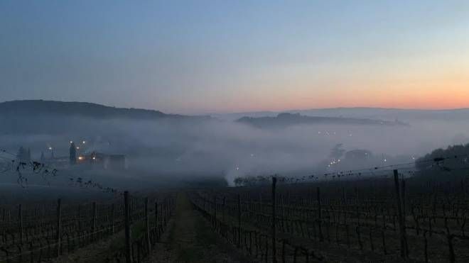 Notte di gelo nel Senese, i produttori di Brunello bruciano paglia per scaldare le vigne(Foto da Facebook Consorzio del vino  Brunello di Montalcino)