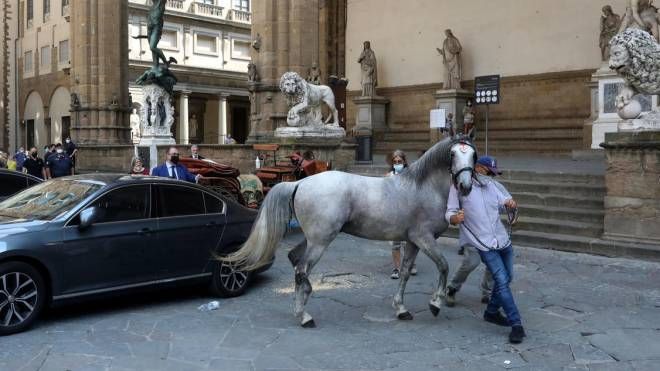 Firenze, cavallo imbizzarrito danneggia auto della ministra Lamorgese (Ansa) 