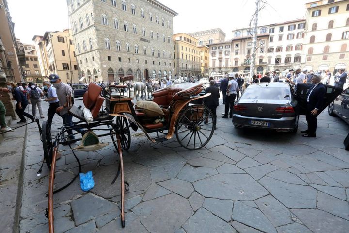 Firenze, cavallo imbizzarrito danneggia auto della ministra Lamorgese (Ansa)