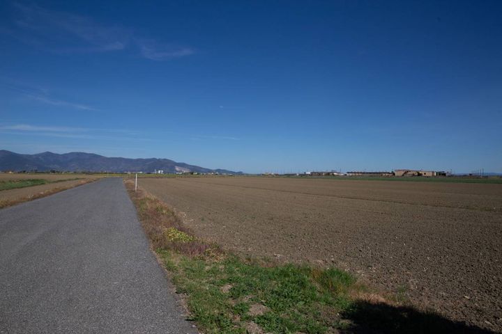 Terreni per la nuova base militare a Coltano, Pisa 
(foto: Enrico Mattia Del Punta)